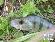 100_4255.jpg