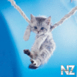 cat_22.jpeg