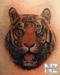 tattoo_26.gif