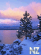 44.gif