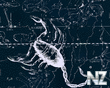 Maps_4_.jpg
