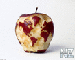 Artwork_Apple_World_Map.jpg