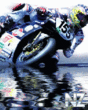 avt005.gif