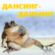 Attch904_2_.gif