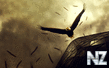 eagle_flight_wide.jpg