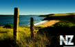 wild_beach_2_wallpaper_2560x1600.jpg