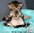 G.gif