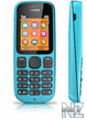 Nokia_100_.jpeg