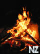 d9a0b22ffe58.gif