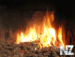168637508.gif