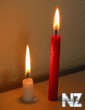 19533878_IMG_0809ani.gif