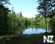 solovki_forest_lake_lesnoe_ozero_1280x1024.jpg
