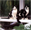 image007.jpg