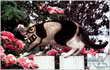 image020.jpg