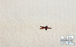 oboi_minimalizm_088.jpg
