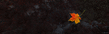 oboi_minimalizm_041.jpg
