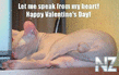 happy_dsv_cat.jpg