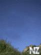 Avto_240x320_54_.gif
