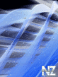 Abcstraksija_240x320_24_.gif