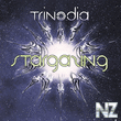 trinodia - stargazing(2012)