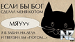 x_8369be04.jpg