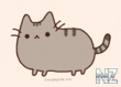 tumblr_lh7y2muFG81qhy6c9o1_400.gif