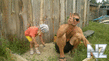 04072012277.jpg