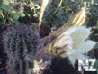 27082012005.jpg