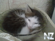 18092012097.jpg