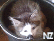 20092012100.jpg