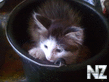 20092012103.jpg