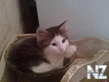 26092012105.jpg