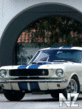 Avto_240x320_213_.gif