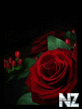 0001475563_Roses_In_Dark.jpg