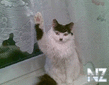 1359357646_foto_prikoly_2.jpg