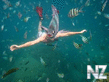 1360656032_zoo_fotobomby.jpg