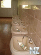 1360577623_nasha_rasha_4.jpg