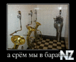 1360665014_demotivatory_5.jpg