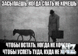 1360666242_kartinki_7.jpg