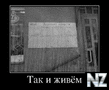 1360745207_na_zlobu_dnya_2.jpg