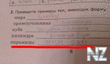 1369729648_prikoly_v_kartinkah_25.jpg