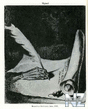 league_of_nations_05.jpg