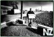 burial_07.jpg