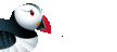 Puffin_Web_Browser_Logo.png