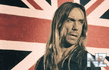 Iggy Pop