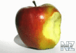 apple1.gif