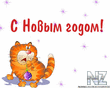 003_cat.jpg