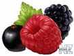 Png_berries_38.jpg