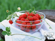 wallpapers_food_Cherry_464797.jpg