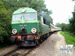 x_368ae329.jpg